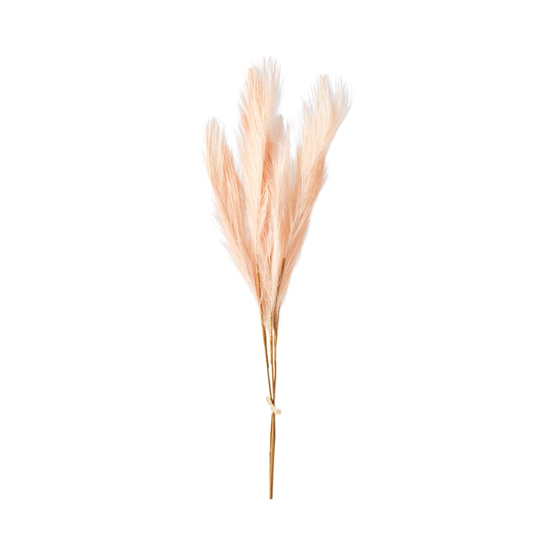 Feather Pampass Pink Grass Stem