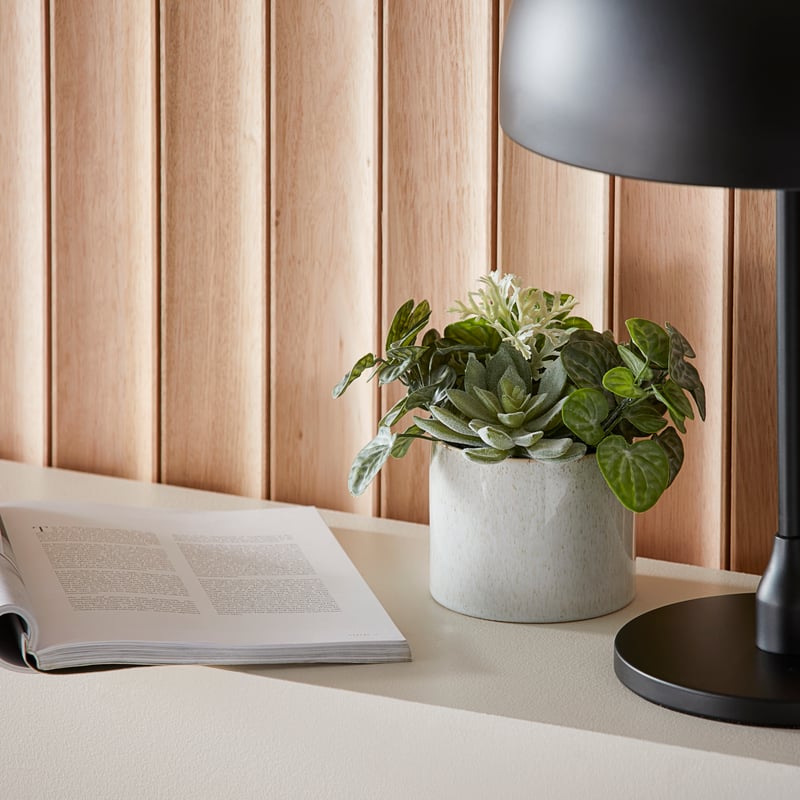 Lampang Succulent Green Garden