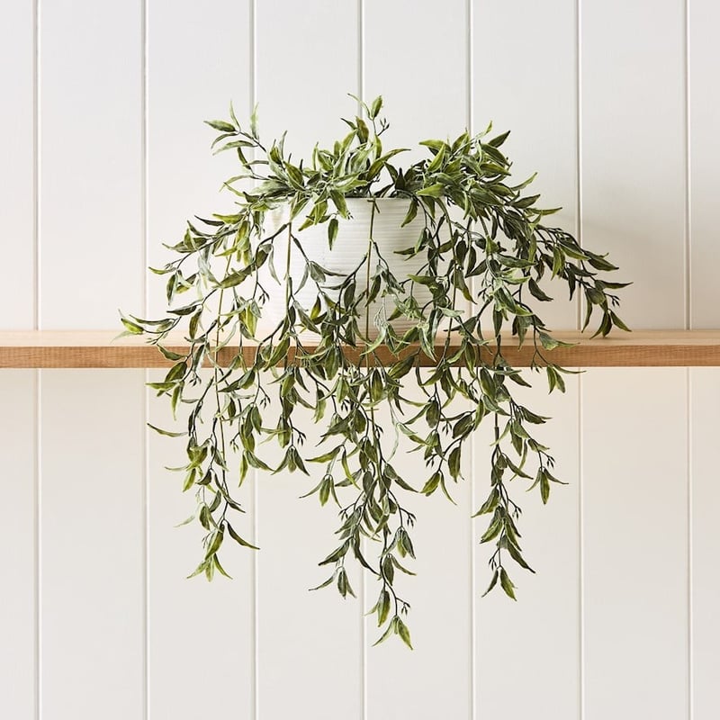 Willow Silver Green Hanging Fern