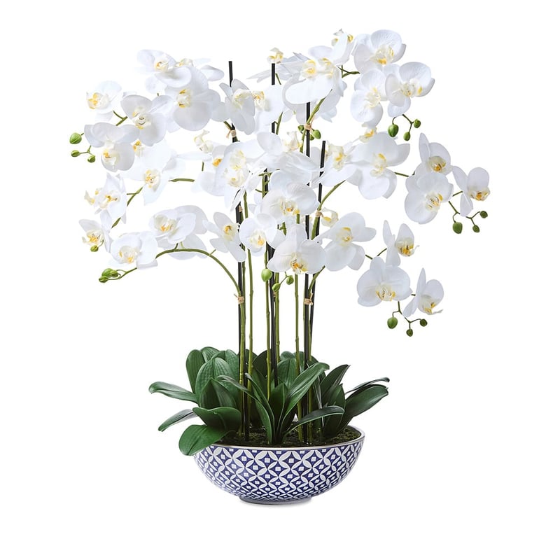 Chinoiserie 6 Stem Orchid Collection