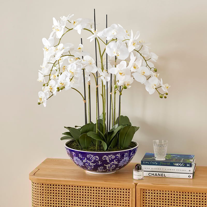 Chinoiserie 9 Stem Orchid Collection