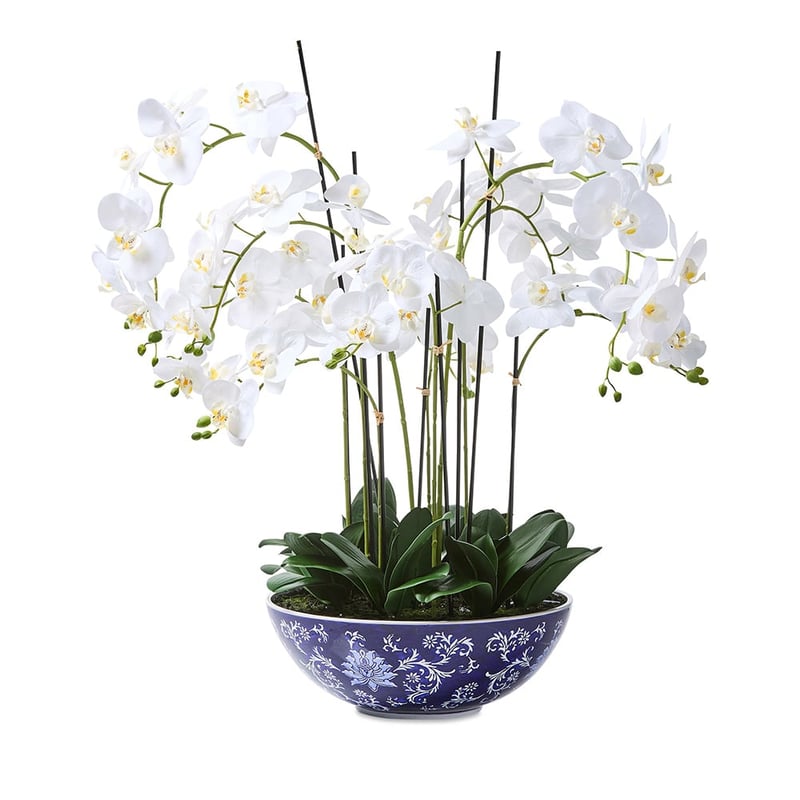 Chinoiserie 9 Stem Orchid Collection