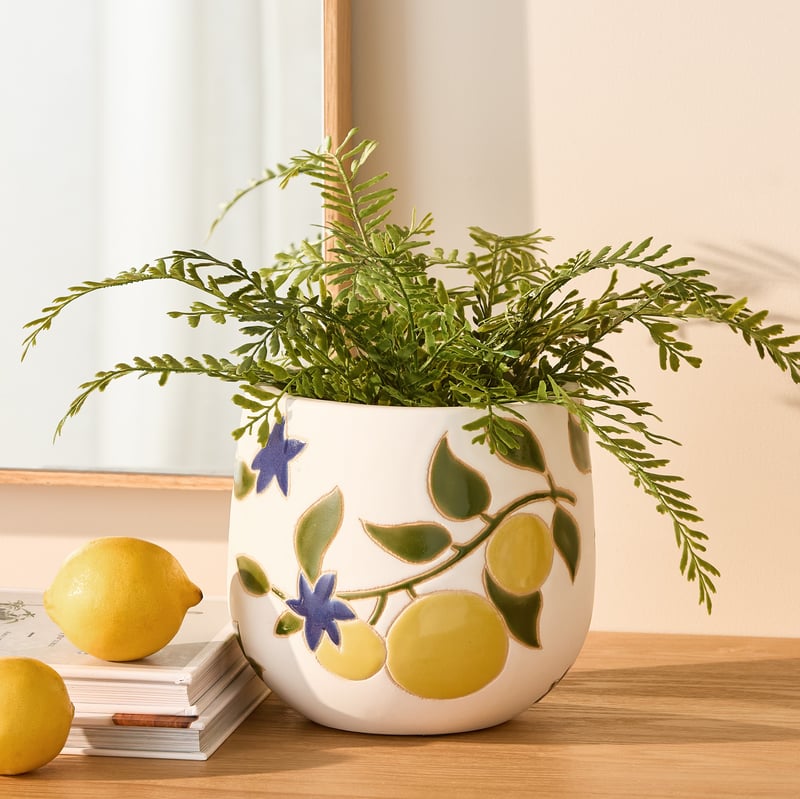 Citrus Lemons Pot