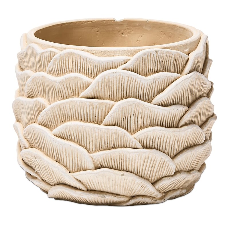 Oyster Natural Shell Pot