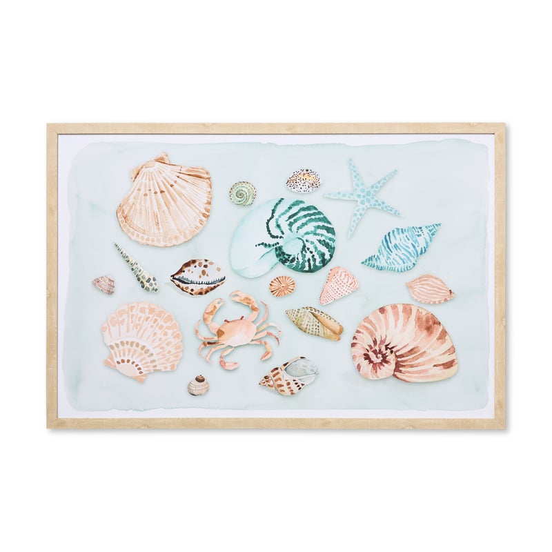 Summer Breeze Fish & Shells Sea Life Canvas