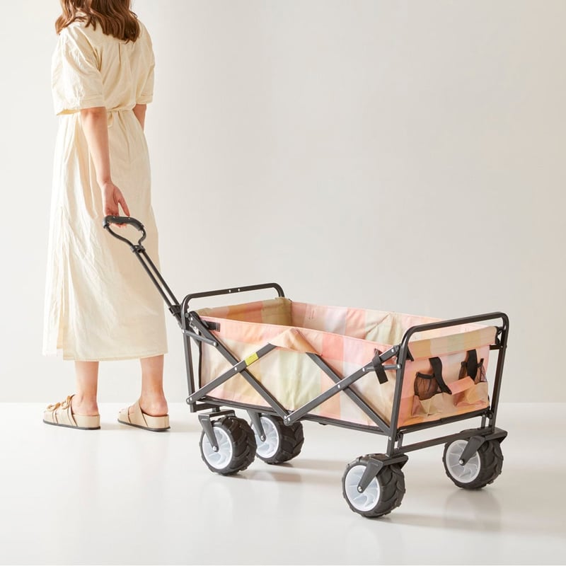 Eden Check Beach Trolley