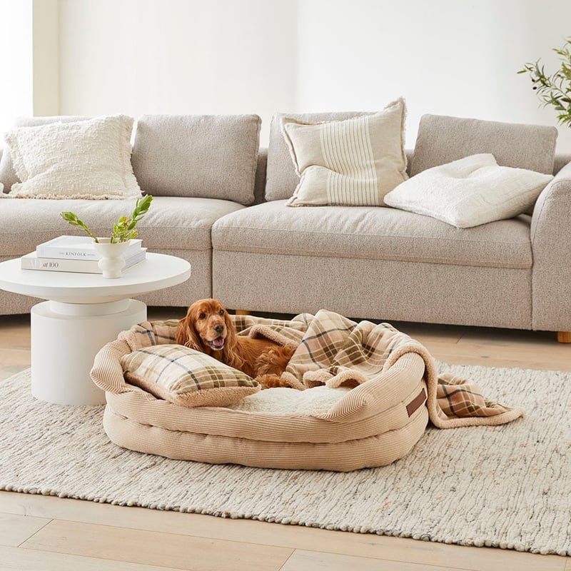 Maisy Biscuit & Forest Check Pet Blanket