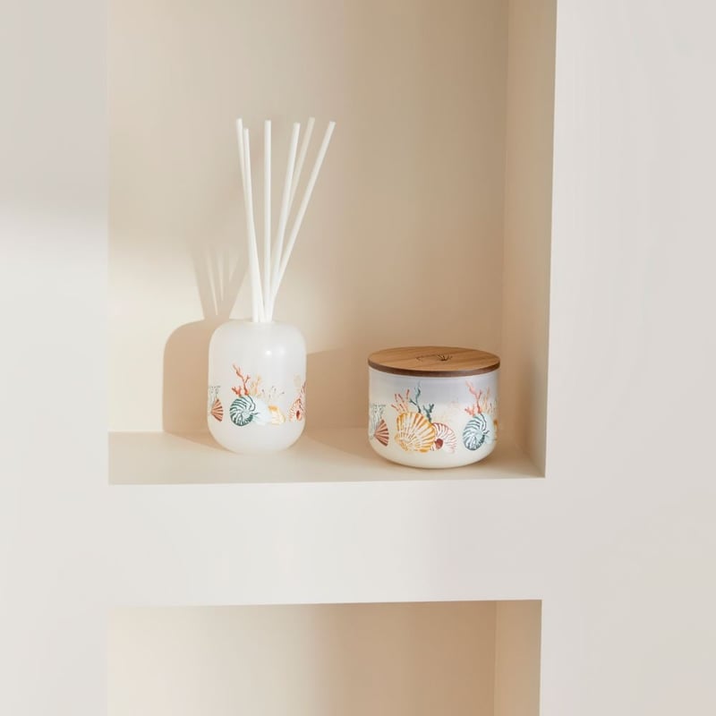 Seashore Coconut Candle 370g