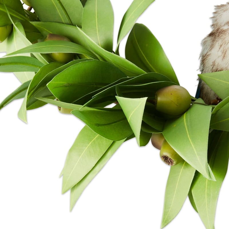Eucalyptus Green Christmas Fun Bird Wreath