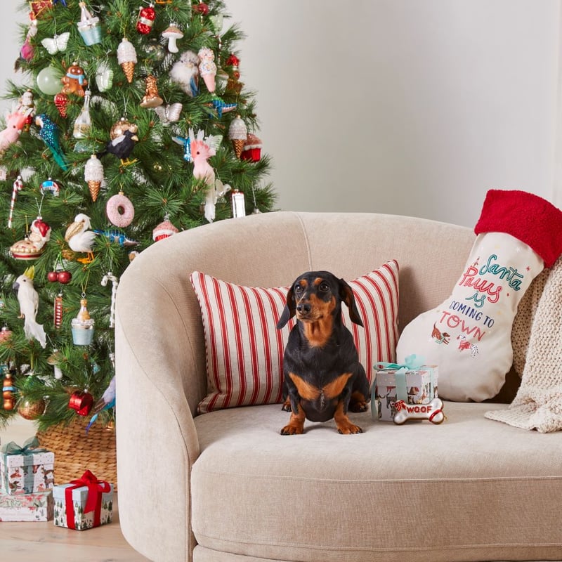 Santa Paws Pet Santa Sack