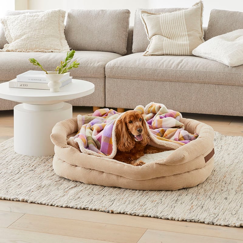 Maisy  Azure Check Pet Blanket