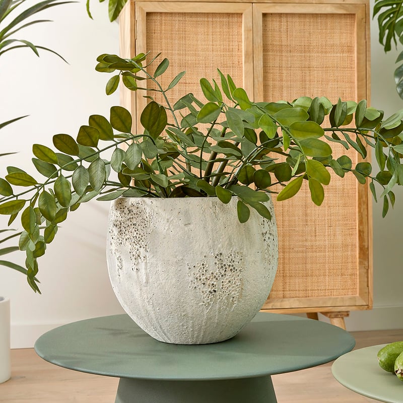 Potted Green Orange Blossom 76cm