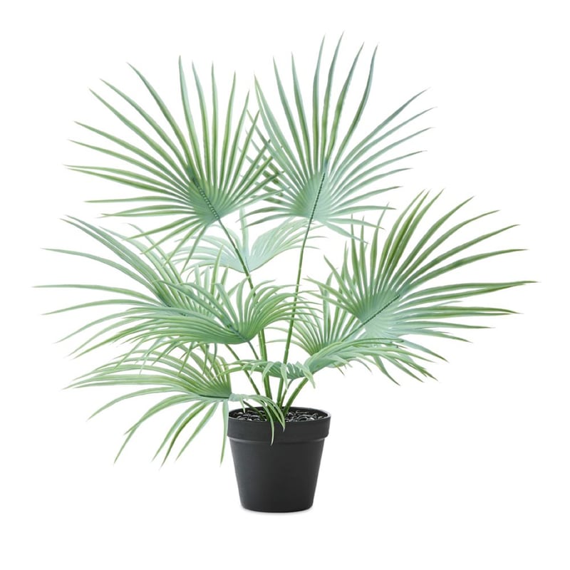 Green Fan Palm 56cm
