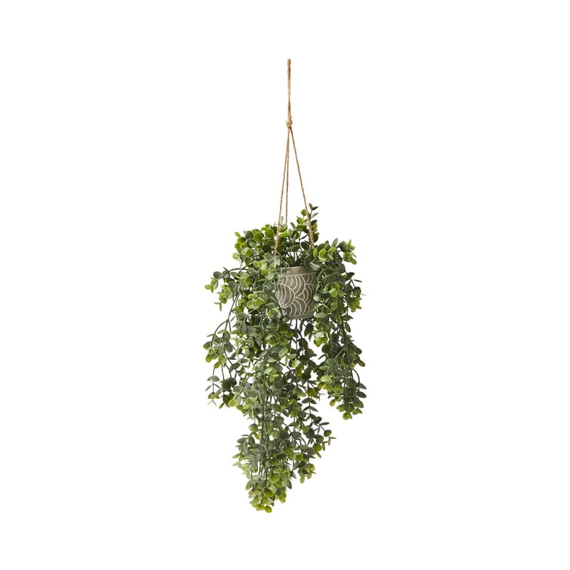 Eucalyptus Hanging Fern 45cm