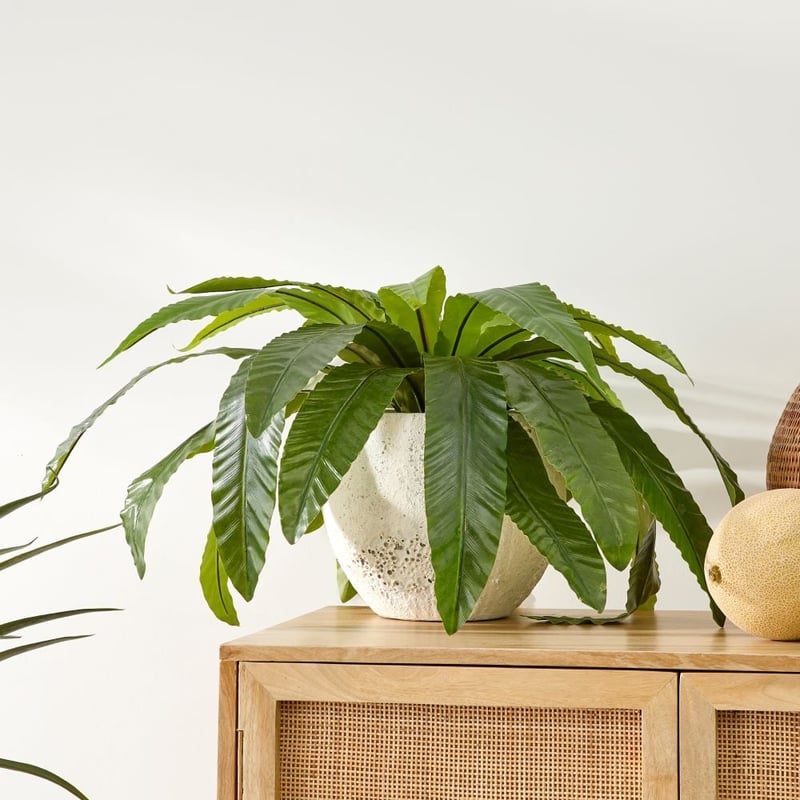 Odyssey Small Rustic White Pot