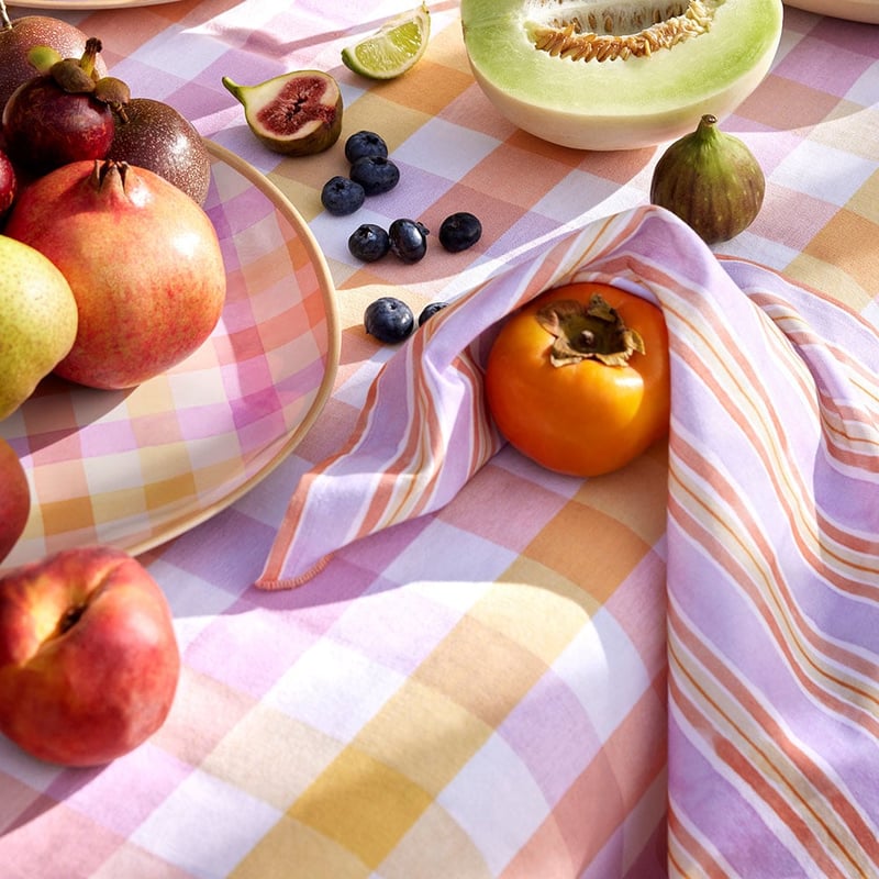 Summer Sorbet Gingham & Stripe Napkins 2 Pack