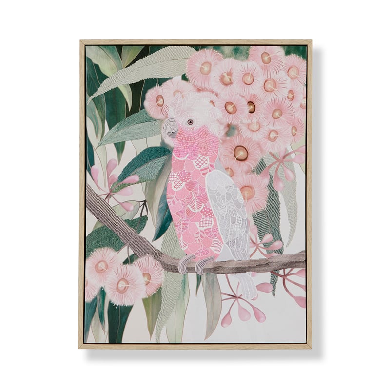 Paradise Pink Galah Canvas