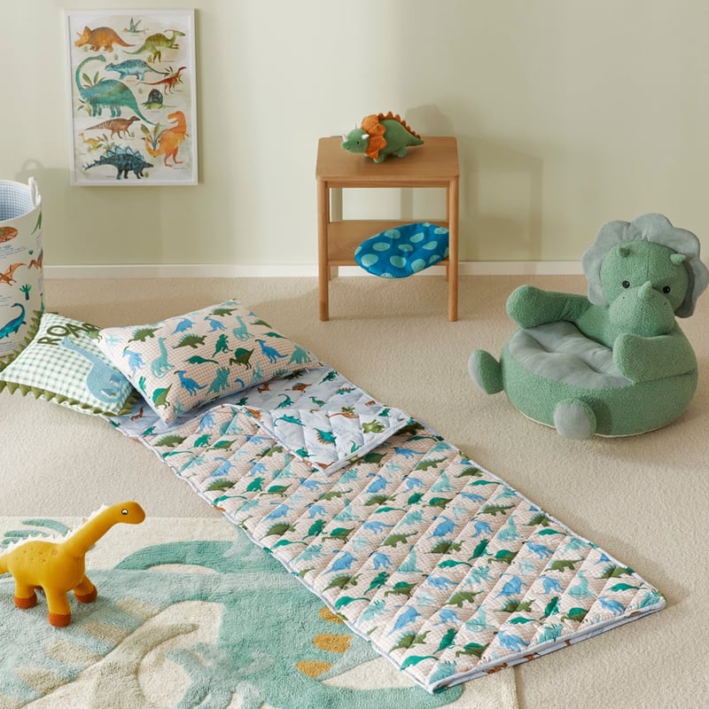 Roar the Dinosaur Sleeping Bag