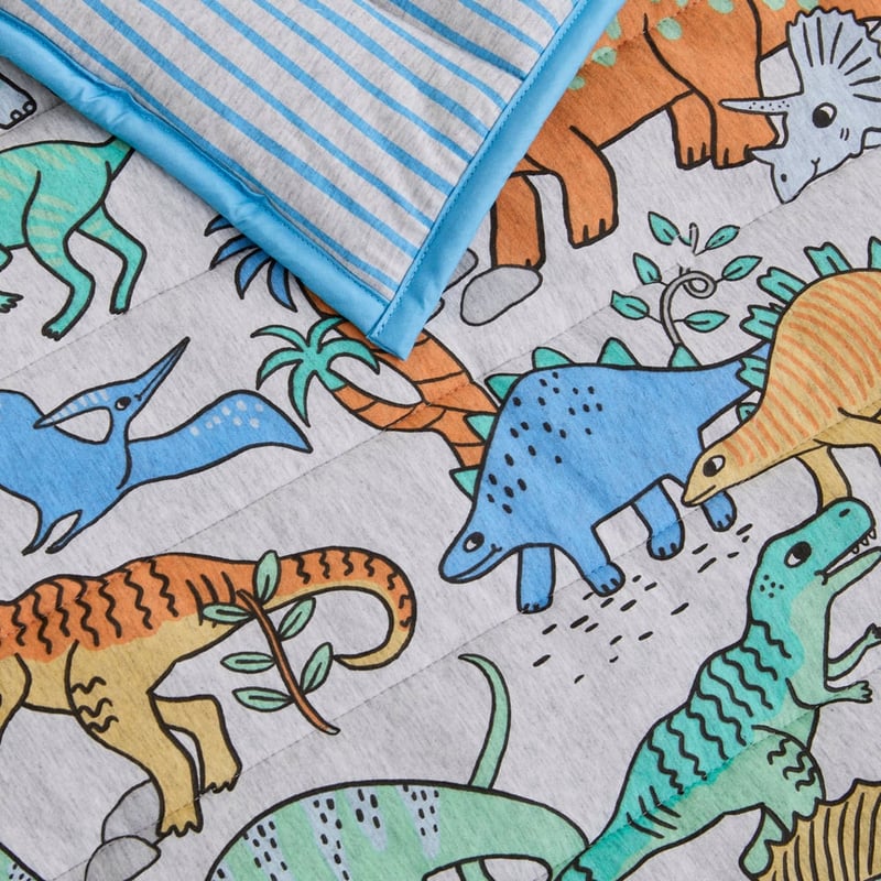 Jersey Happy Little Dinos Quilted Sleeping Bag