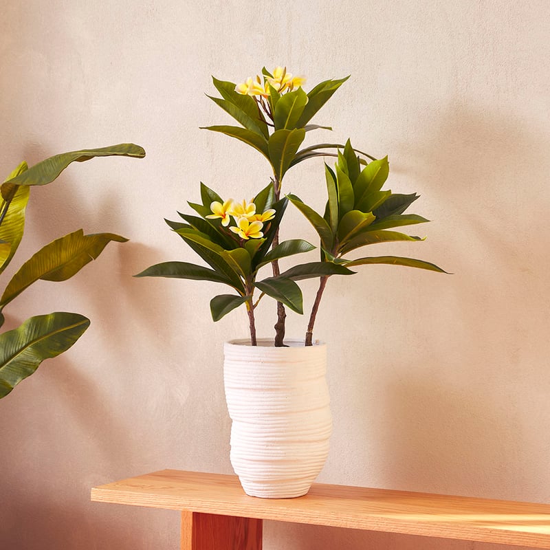 Sway White Tall Pot