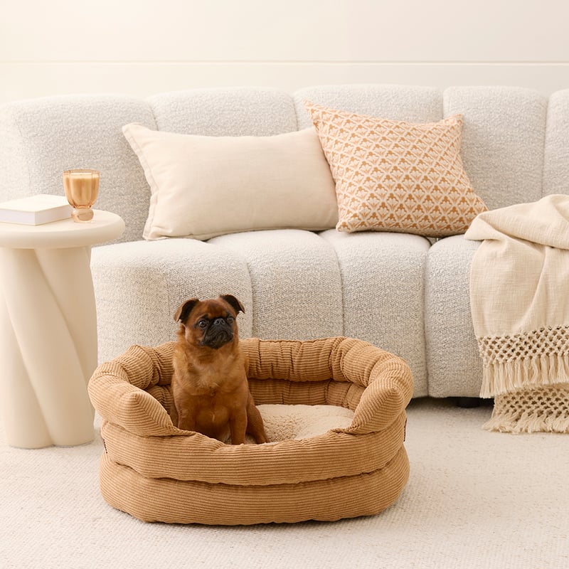 Ziggy Tan Pet Bed