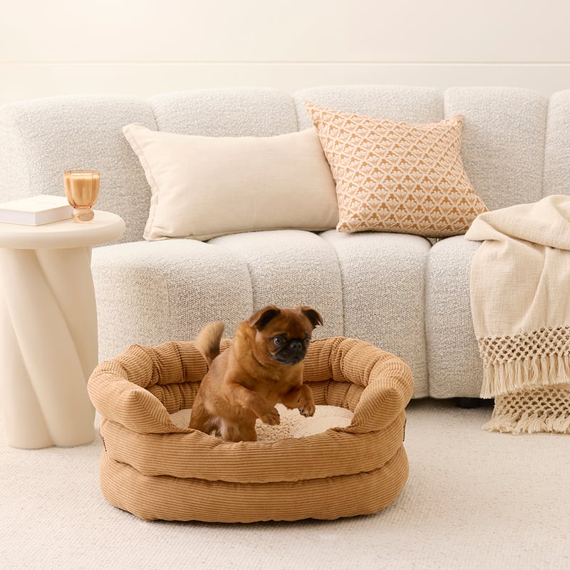 Ziggy Tan Pet Bed