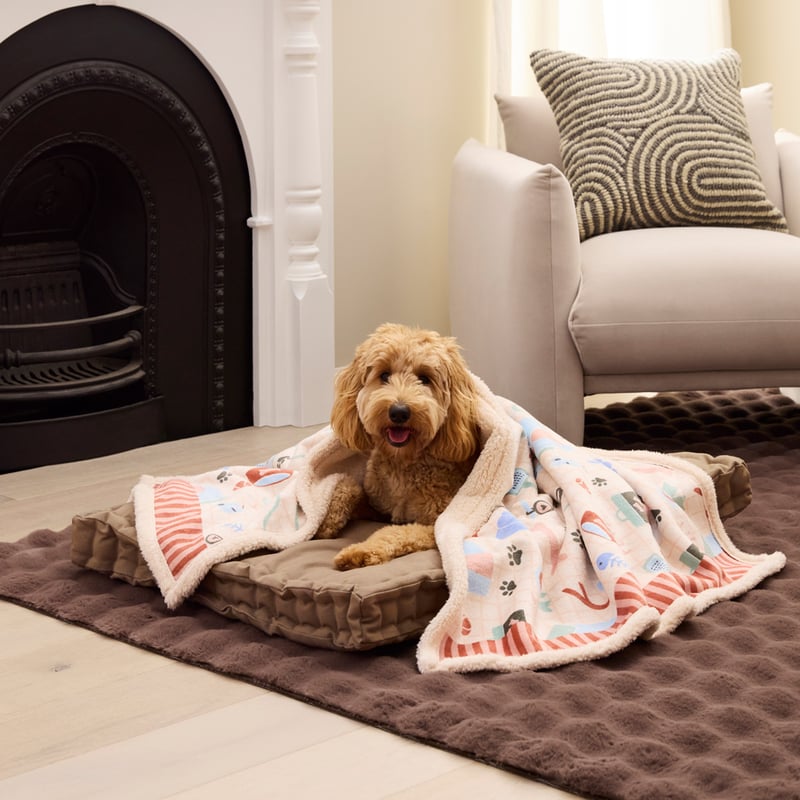 Maisy Best Friends Natural Pet Blanket
