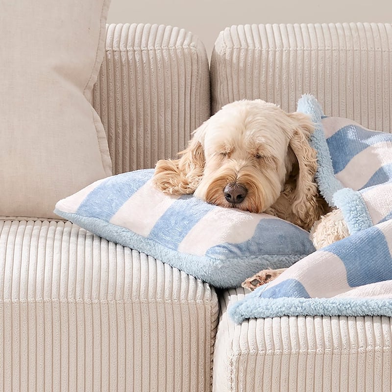 Maisy Blue Wave Pet Pillow