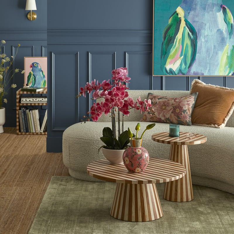 Phalaenopsis Wildberry 6 Stem Orchid