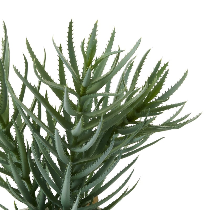 Green & Grey Potted Blue Chalk