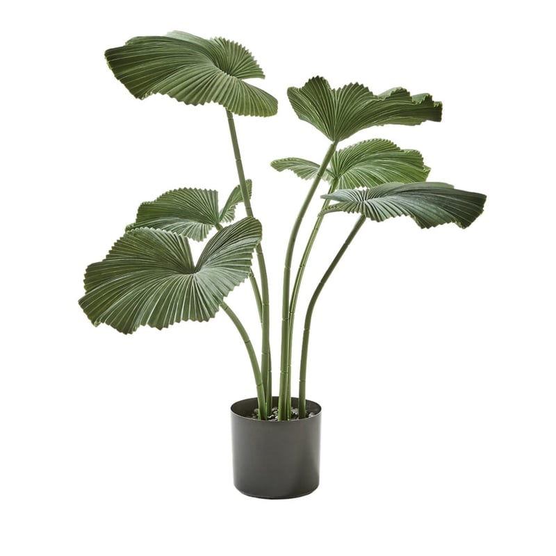 Green Potted Lotus
