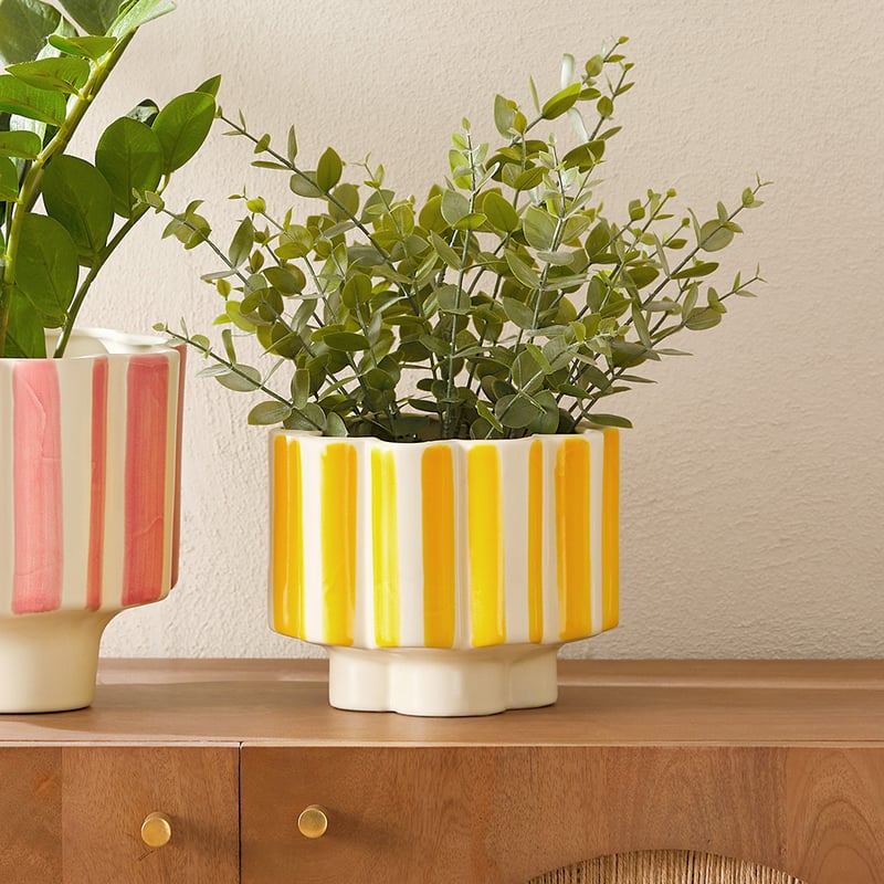 Flower Off White & Yellow Stripe Pot