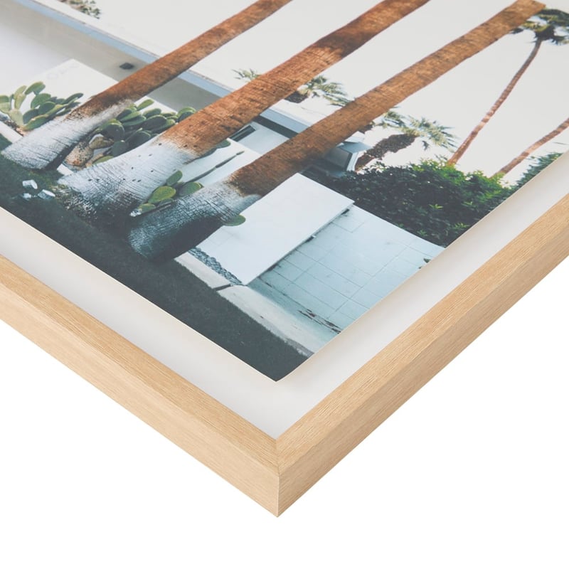 Flinders Palm Springs Framed Wall Art