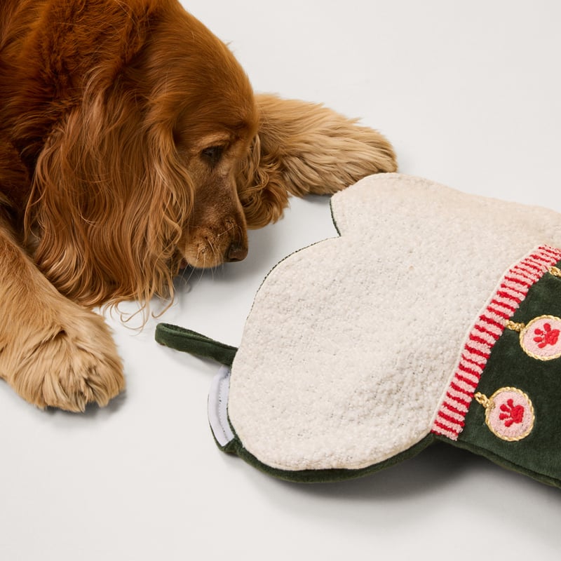 Festive Bone Pet Stocking