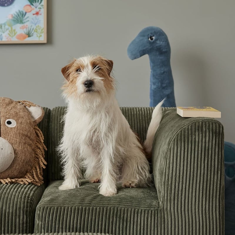 Forest Green Mini Modular Lounge