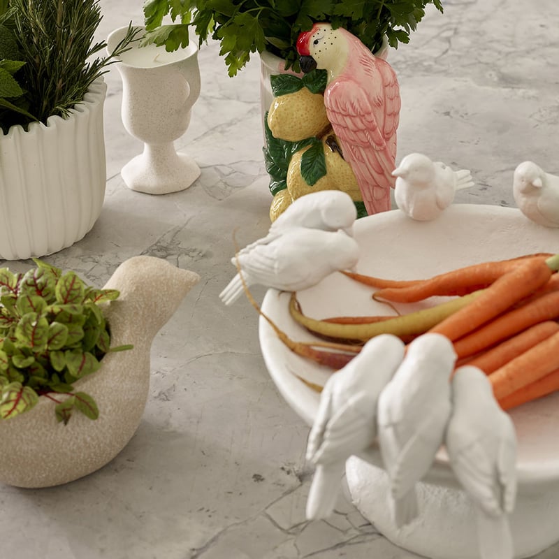 Bird Life Off White Footed Bowl
