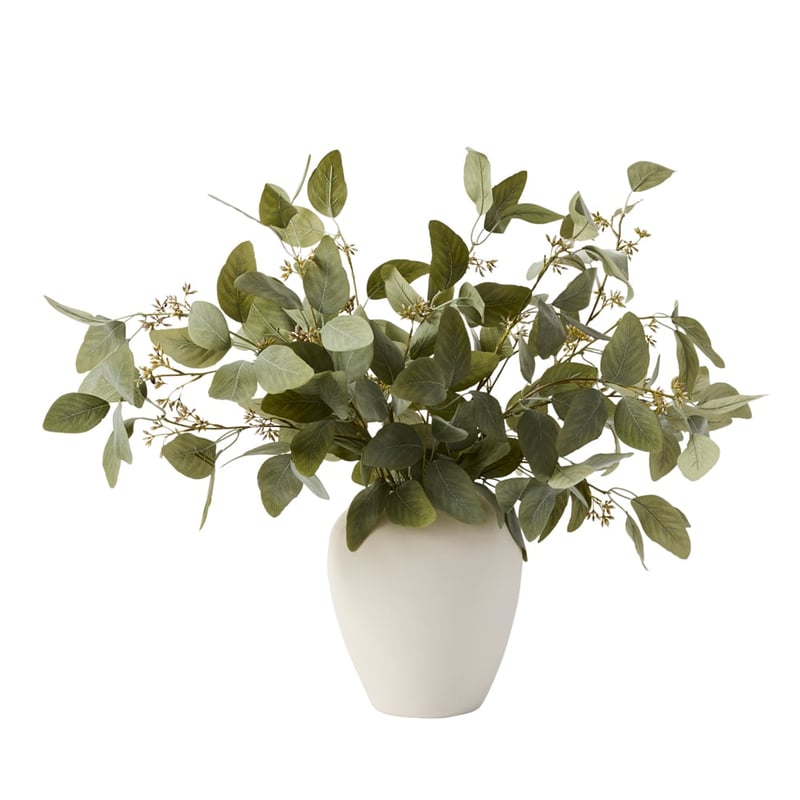White & Green Eucalyptus in Vase
