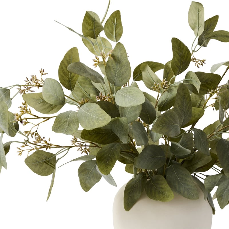 White & Green Eucalyptus in Vase