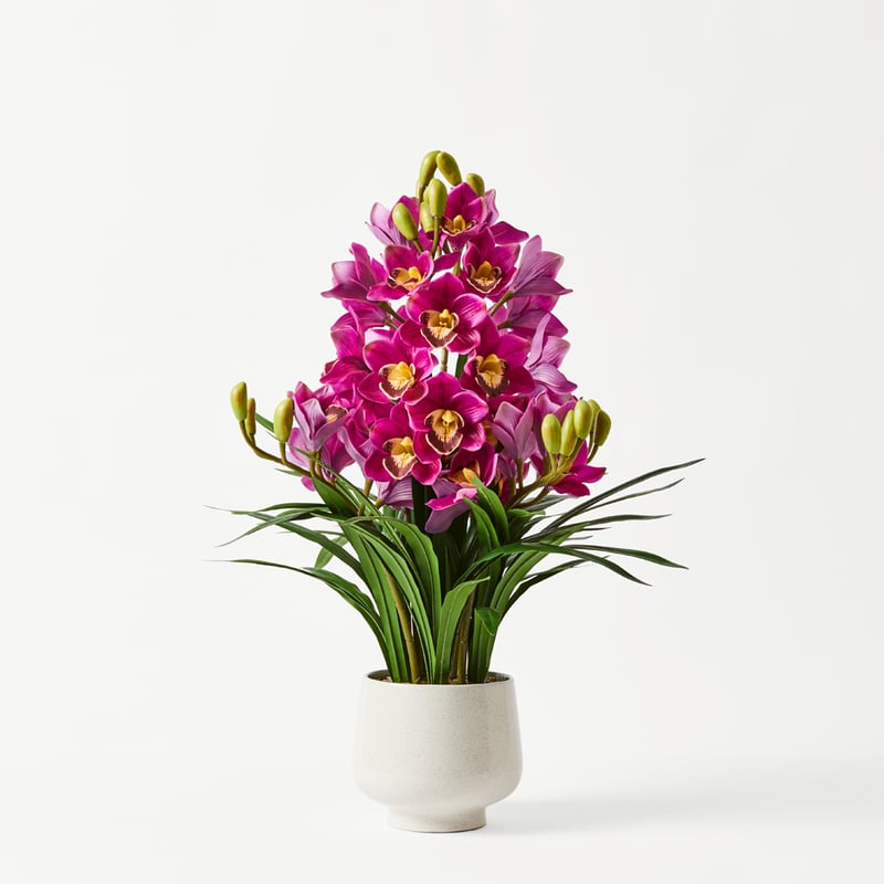 Purple Orchid in Ceramic Vase