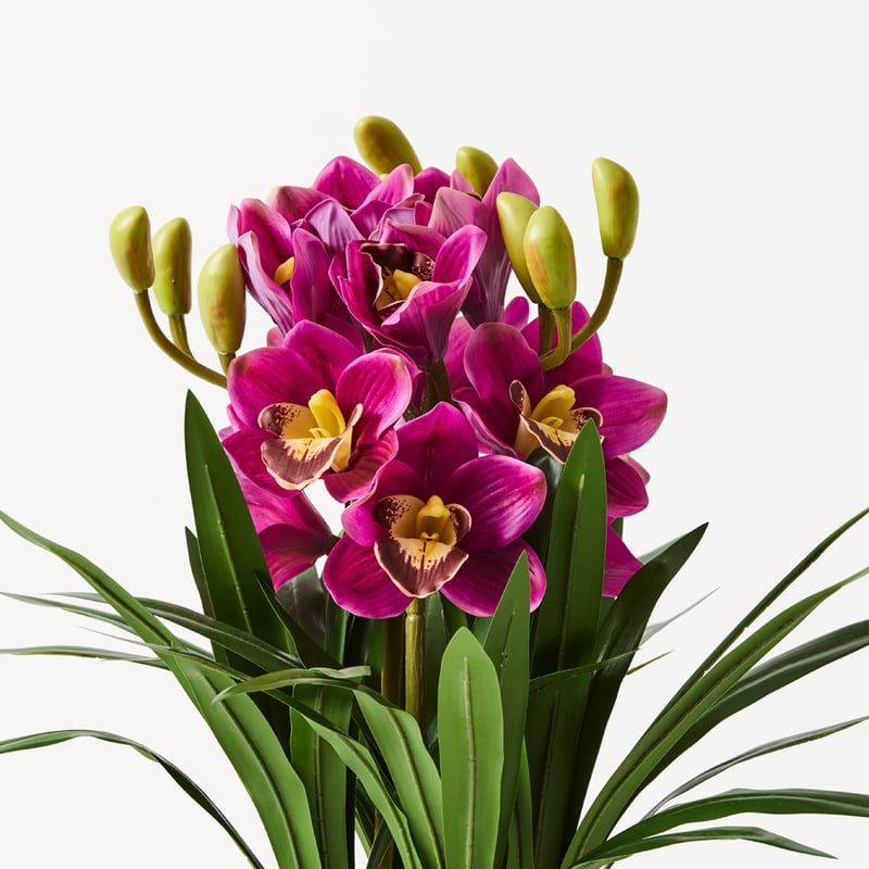 Purple Orchid in Ceramic Vase