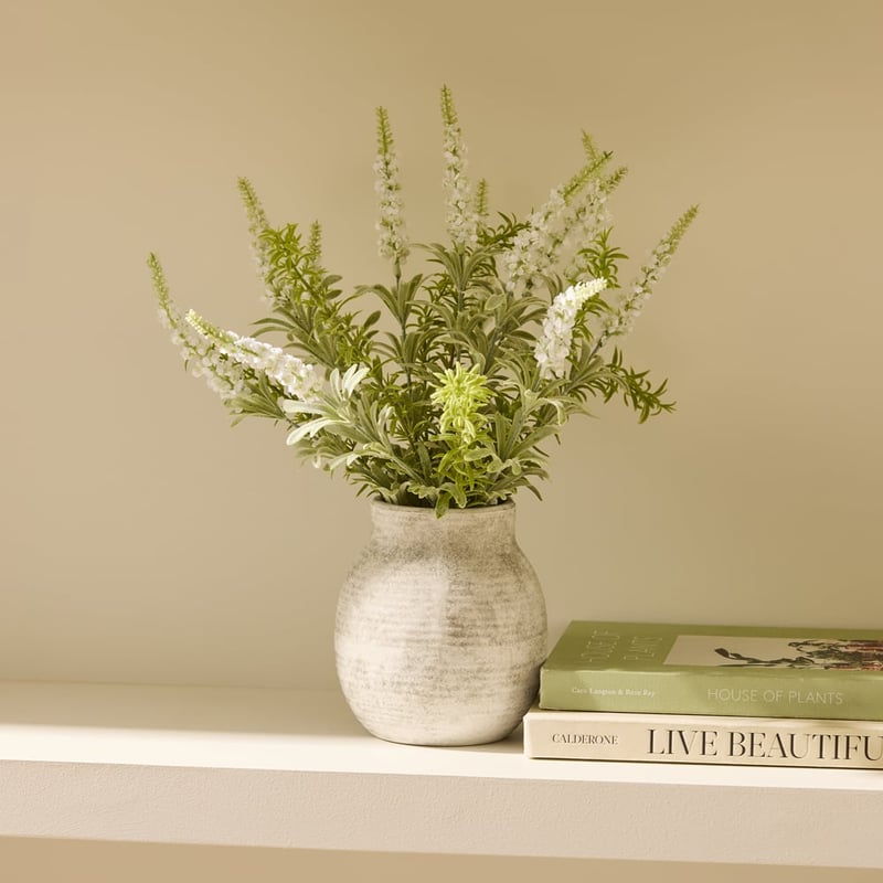White Lavender in Ceramic Vase