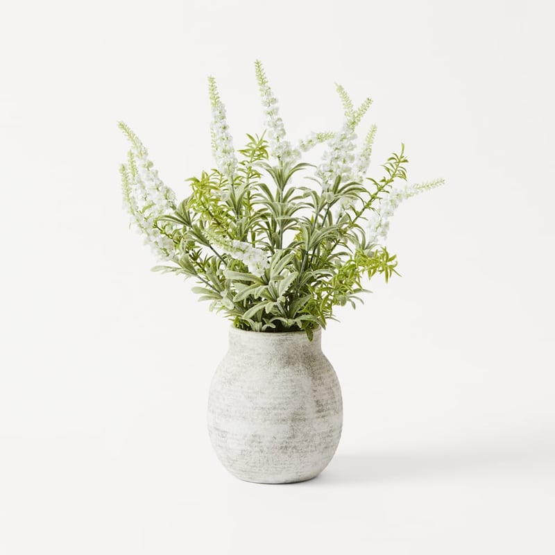 White Lavender in Ceramic Vase