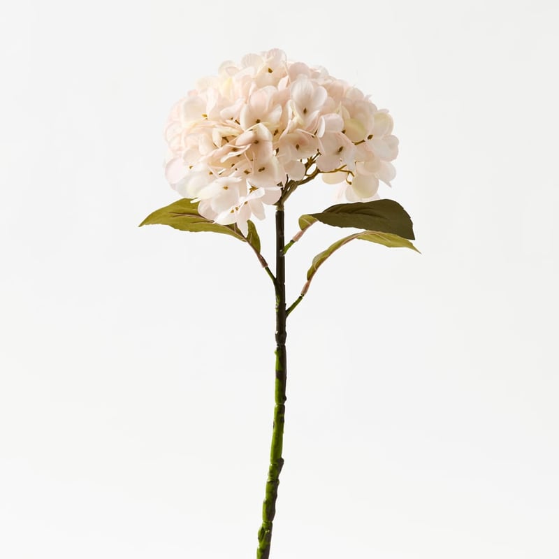 Hydrangea Stem White