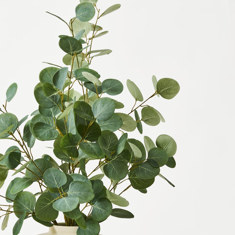Cream & Green Flower Eucalyptus in Belly Ceramic Vase