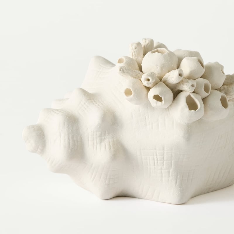 Seascape Cream Shell Vessel