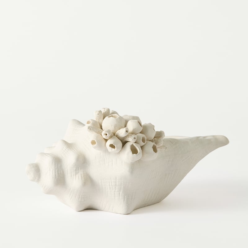 Seascape Cream Shell Vessel