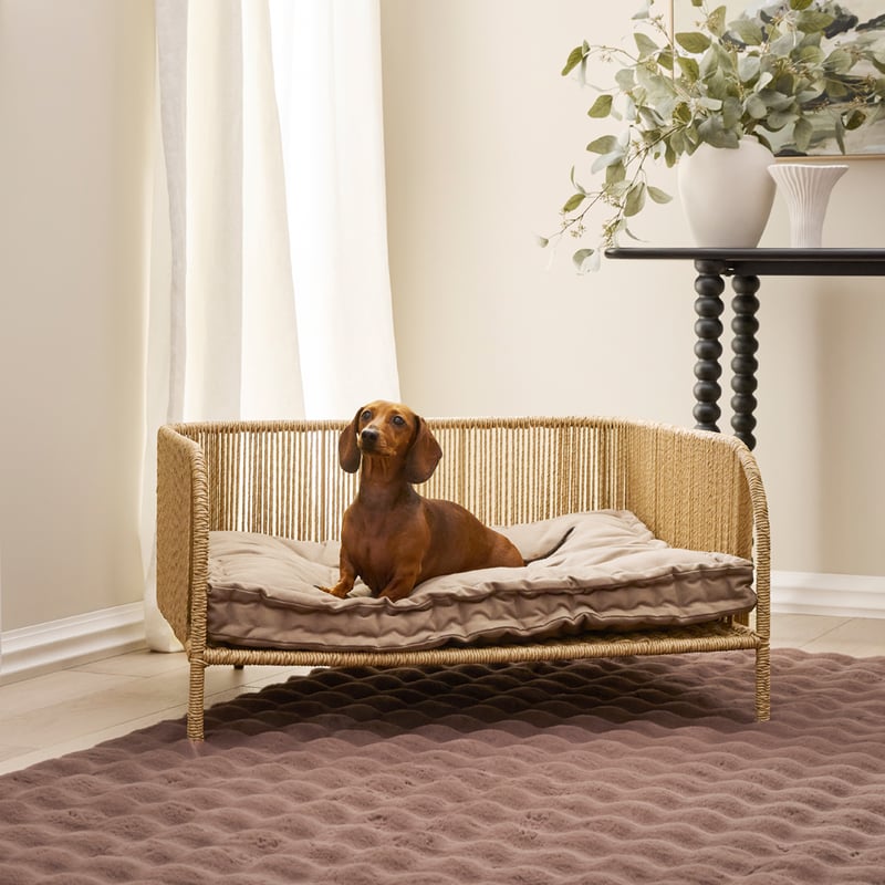 Oasis Fern Pet Bed Cushion
