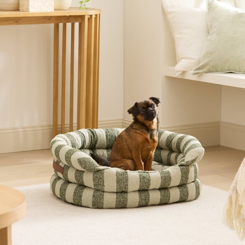 Ziggy Forest & Sage Stripe Pet Bed