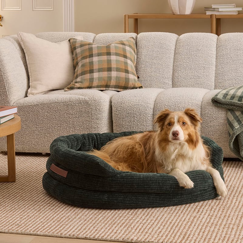 Ziggy Rosedale Deep Forest Pet Bed