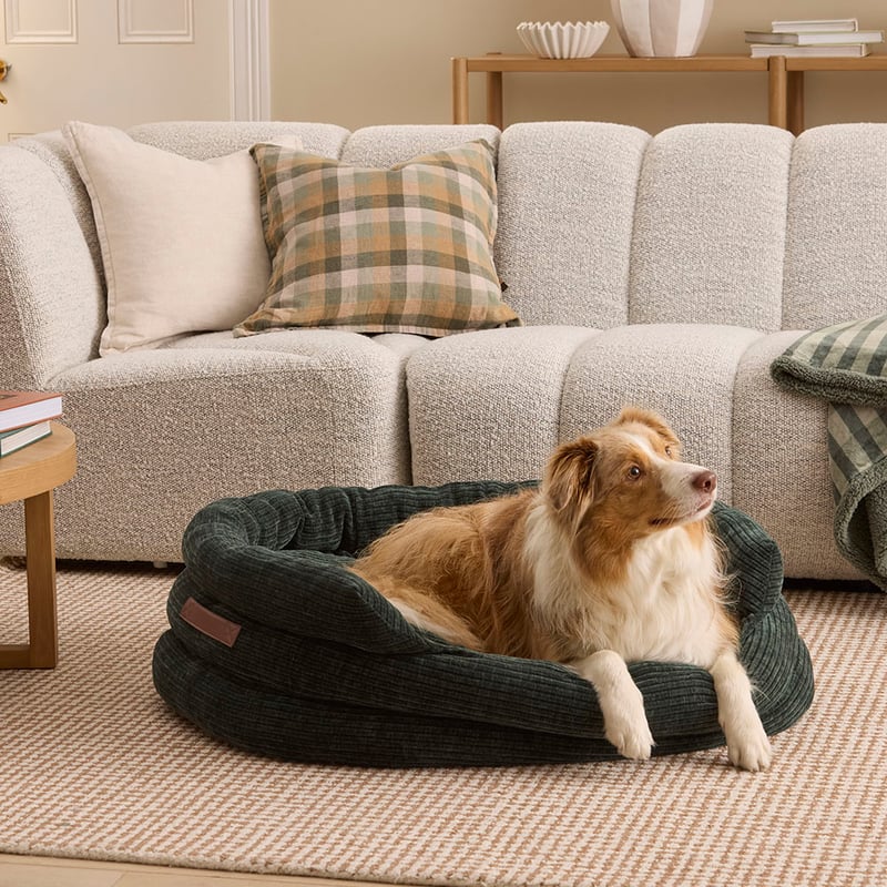 Ziggy Rosedale Deep Forest Pet Bed